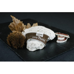 saucisson 200 G cèpes